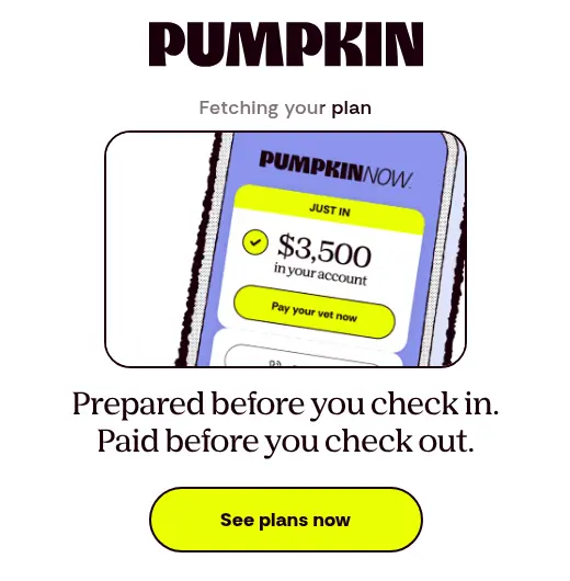 Pumpkin multi-step form screen 5: plan is ready, with a See plans now button